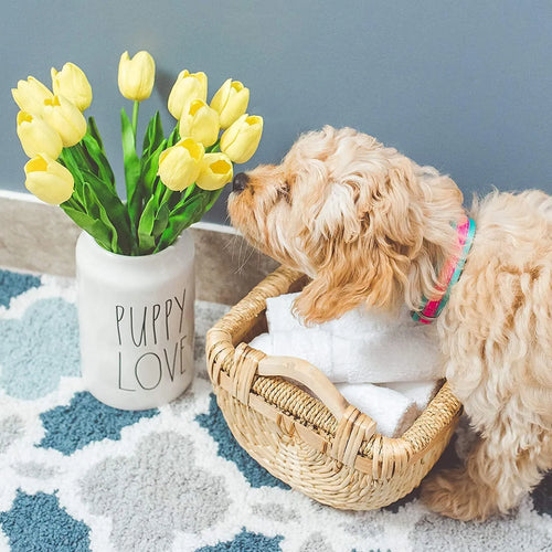 Pack of 6 Luxury White Face Cloth Towels 100% Egyptian Cotton Soft Flannel Wash Cloths Towel Towelsworld